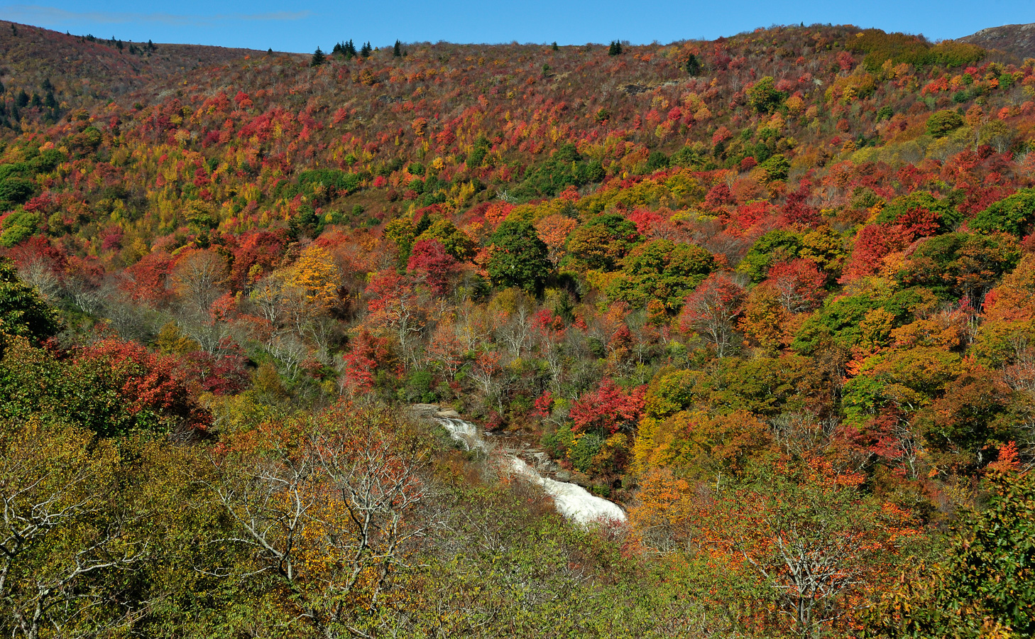 Blue Ridge Parkway [90 mm, 1/200 Sek. bei f / 10, ISO 400]